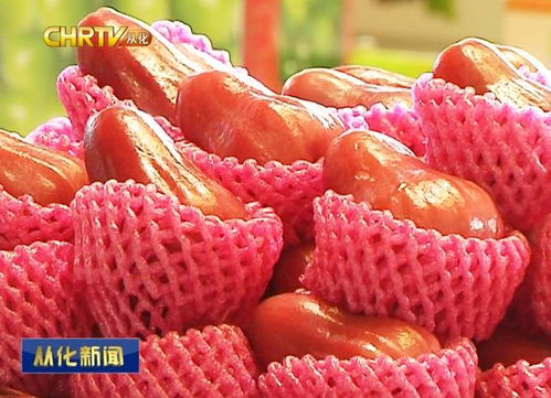 京東中國特產·從化館盛大開幕，優質農副產品添新銷售渠道