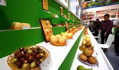 祁陽首屆油菜花節暨農副產品交易會邀您共賞春光，樂享田園盛宴