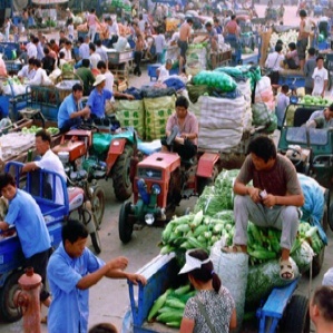 上海浦南農(nóng)副產(chǎn)品批發(fā)市場 都市的“綠色心臟”與百姓的“菜籃子”