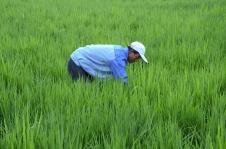 塞上江南，物阜民豐——探秘寧夏特色農副產品產業